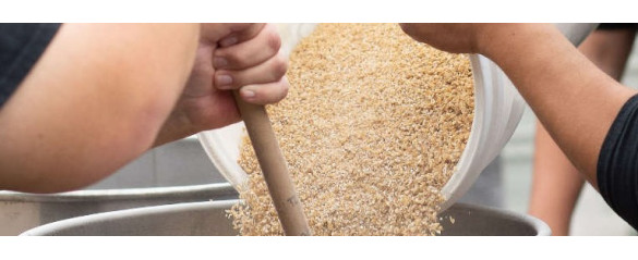 Няколко думи за стъпките на маша и действието на ензимите