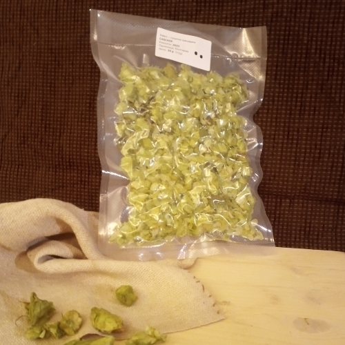 Dry Hop Cones Cascade, BG, 20g , Extra Quality