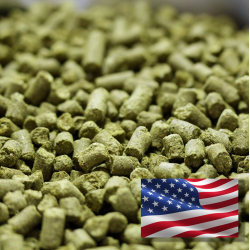 50g - Bru-1 TM, US, T90