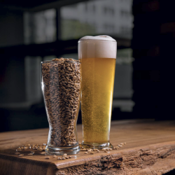 Base Barley Malt (16)