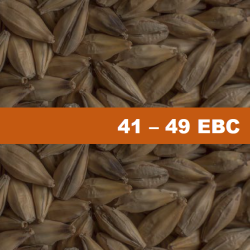 Barley Malt Chateau Abbey - 1 kg Barley Malt Chateau Abbey - 1 kg