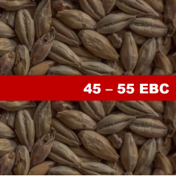 Печен Ечемичен Малц Chateau Biscuit - 1 kг