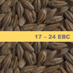 Карамелен Ечемичен Малц Chateau Cara Blond - 1 kг Карамелен Ечемичен Малц Chateau Cara Blond - 1 kг