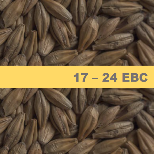 Карамелен Ечемичен Малц Chateau Cara Blond - 1 kг