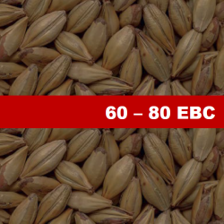 Карамелен Ечемичен Малц Chateau Cara Honey - 1 kг Карамелен Ечемичен Малц Chateau Cara Honey - 1 kг