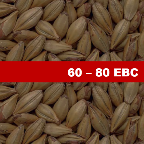 Карамелен Ечемичен Малц Chateau Cara Honey - 1 kг Карамелен Ечемичен Малц Chateau Cara Honey - 1 kг