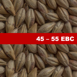 Карамелен Ечемичен Малц Chateau Cara Ruby - 1 kг Карамелен Ечемичен Малц Chateau Cara Ruby - 1 kг