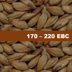 Карамелен Ечемичен Малц Chateau Cara Terra - 1 kг Карамелен Ечемичен Малц Chateau Cara Terra - 1 kг