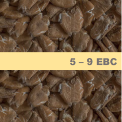 Житен Малцов Флейкс Chateau Chit Wheat Flakes - 1 kг