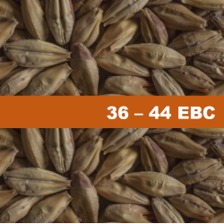 Chateau Melano Light - 1 kg Chateau Melano Light - 1 kg