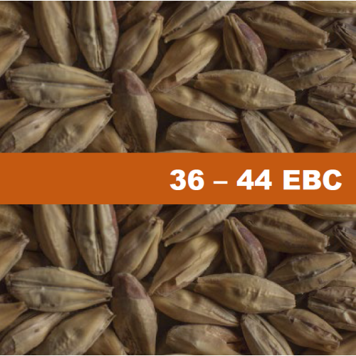 Chateau Melano Light - 1 kg