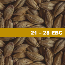 Barley Malt Chateau Munich - 1 kg Barley Malt Chateau Munich - 1 kg