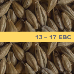 Barley Malt Chateau Munich Light - 1 kg Barley Malt Chateau Munich Light - 1 kg