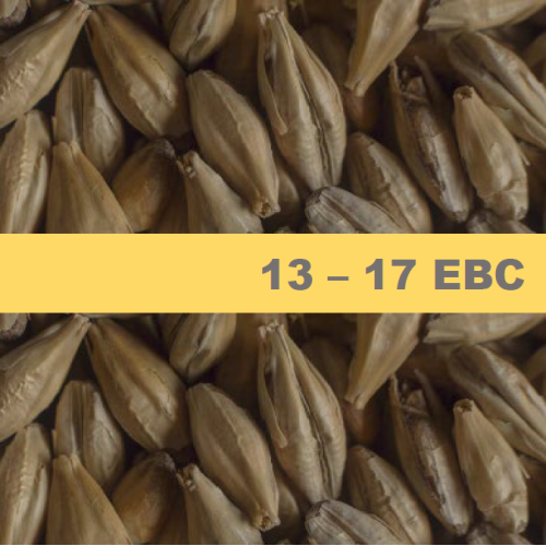 Ечемичен Малц Chateau Munich Light - 1 kг Ечемичен Малц Chateau Munich Light - 1 kг