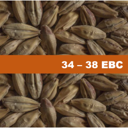 Barley Malt Chateau Red Intense - 1 kg Barley Malt Chateau Red Intense - 1 kg