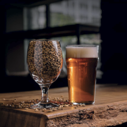 Caramel Barley Malt (11)